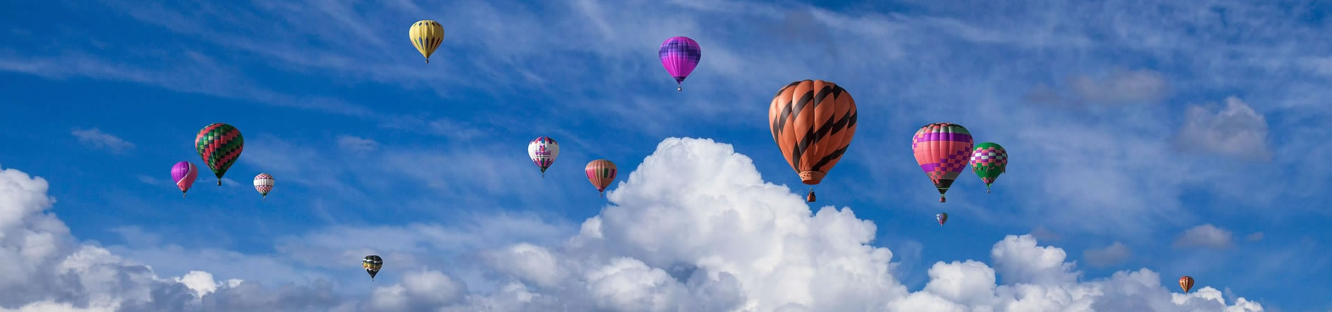 TP钱包官方下载